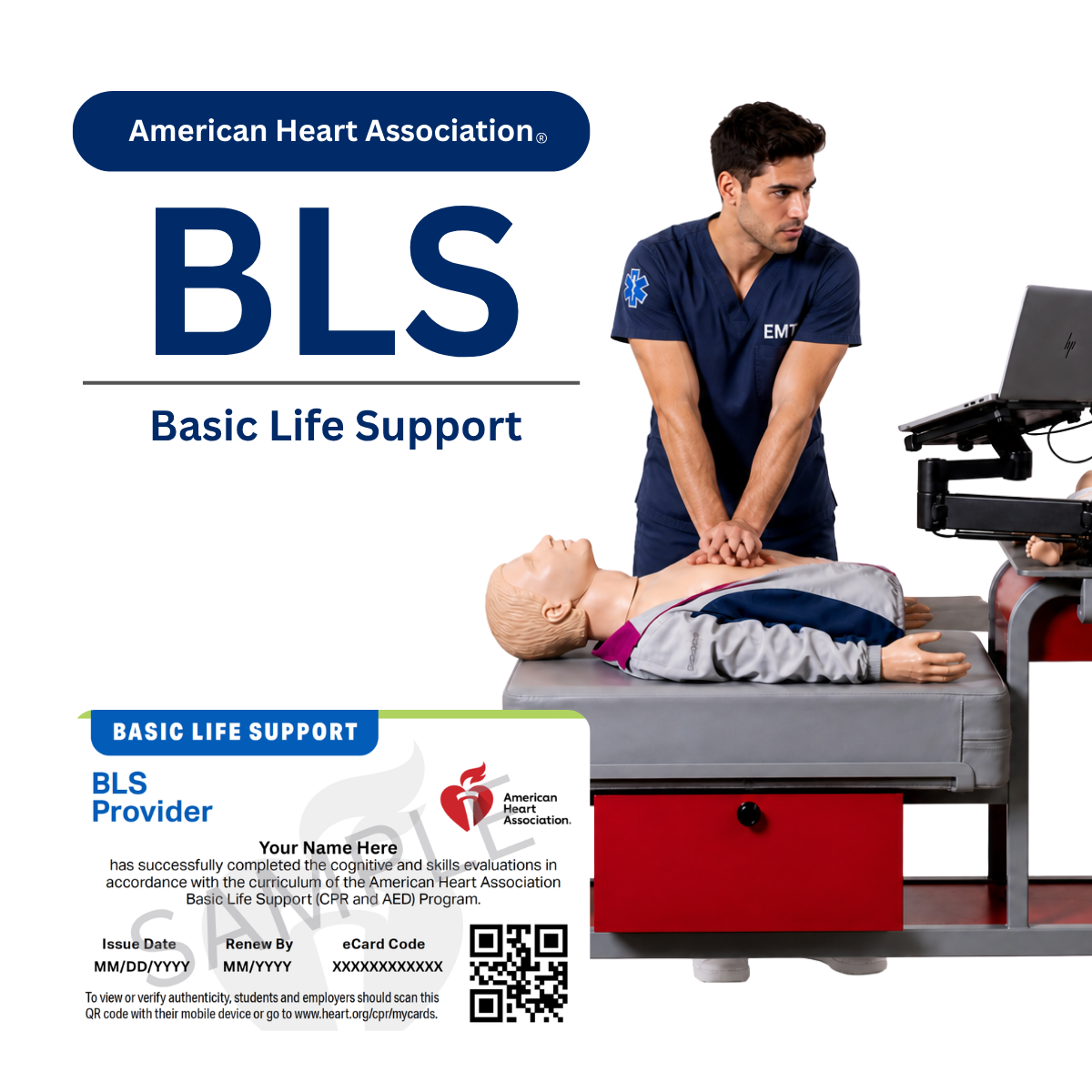 BLS Provider Complete
