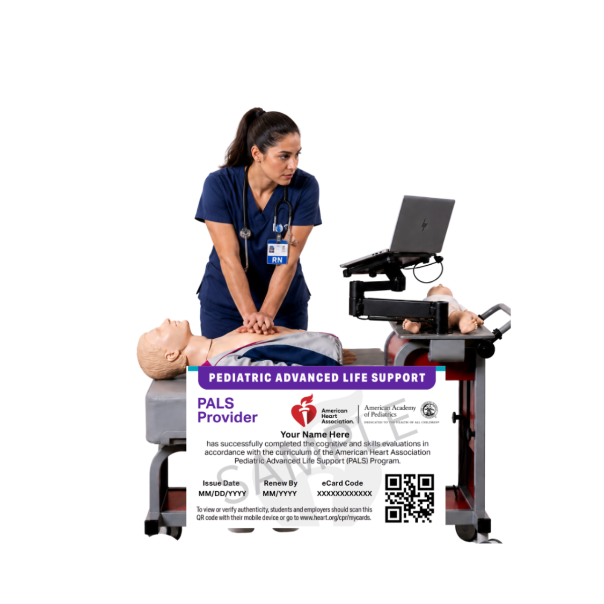 aha pals provider certification course